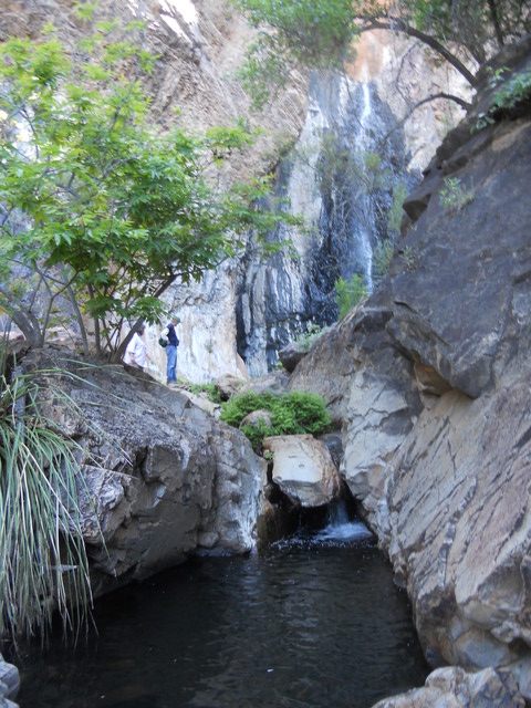 Cattail Falls