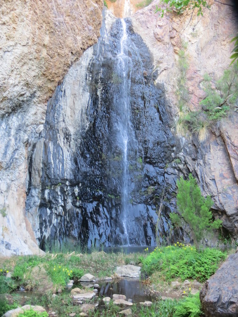 Cattail Falls