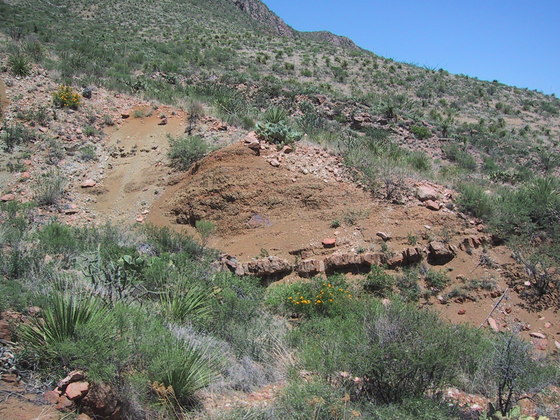 Outcrop in Chisos