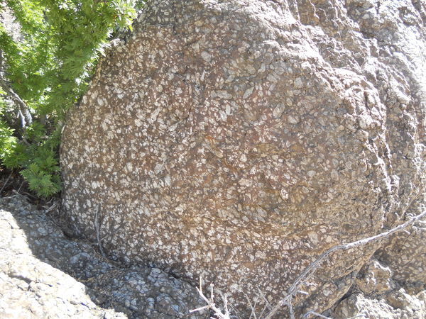 Phenocrysts in Dike