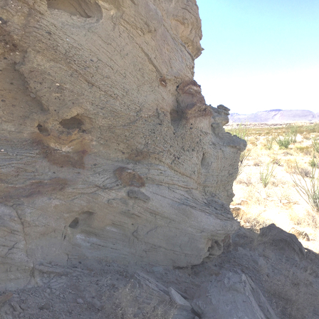 Big Yellow Sandstone Outcrop