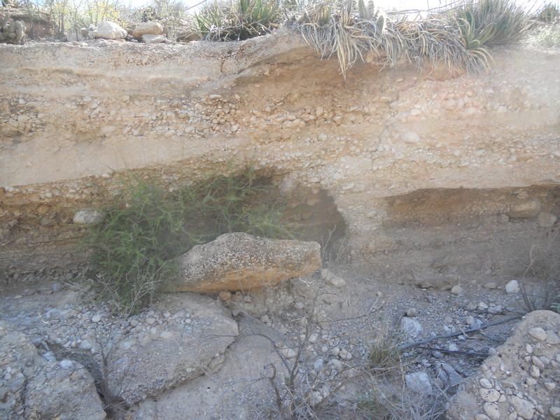 Miocene Basin Fill