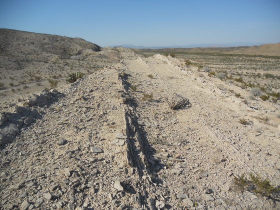 Boquillas Beds Dipping on West Side
of Mariscal Mountain
